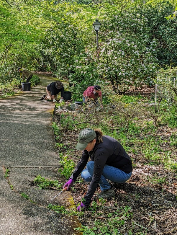 How Mountain Rose Herbs Supports Natural Park Management